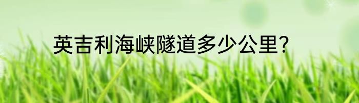 英吉利海峡隧道多少公里？