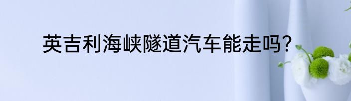 英吉利海峡隧道汽车能走吗？