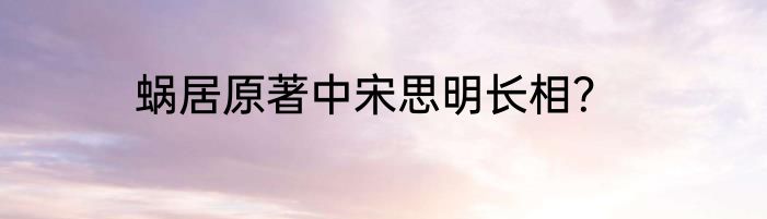 蜗居原著中宋思明长相？