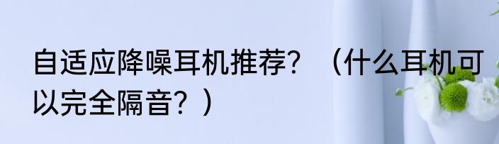 自适应降噪耳机推荐？（什么耳机可以完全隔音？）