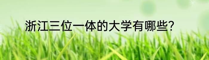 浙江三位一体的大学有哪些？
