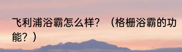 飞利浦浴霸怎么样？（格栅浴霸的功能？）