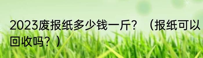 2023废报纸多少钱一斤？（报纸可以回收吗？）