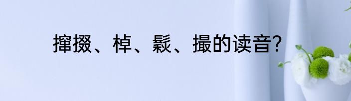 撺掇、棹、鬏、撮的读音？