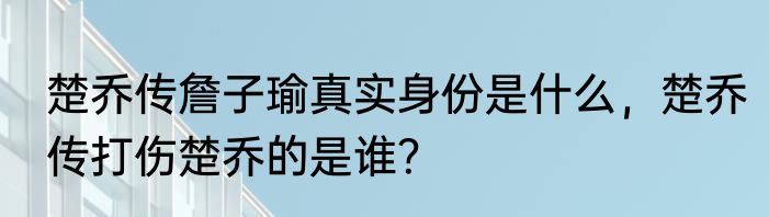 楚乔传詹子瑜真实身份是什么，楚乔传打伤楚乔的是谁？