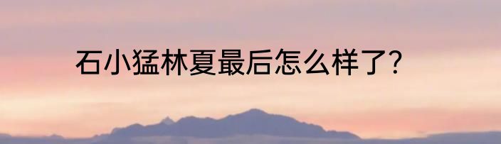 石小猛林夏最后怎么样了？