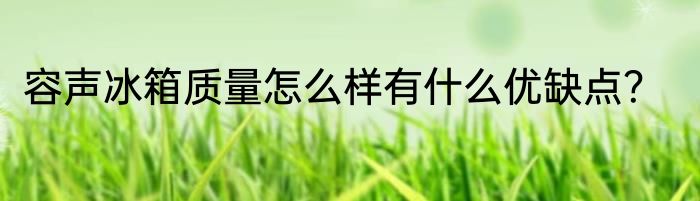 容声冰箱质量怎么样有什么优缺点？