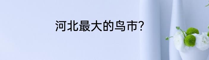河北最大的鸟市？