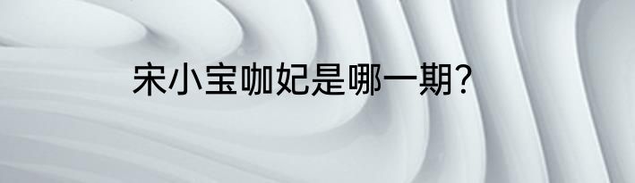 宋小宝咖妃是哪一期？