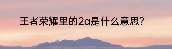 王者荣耀里的2a是什么意思？