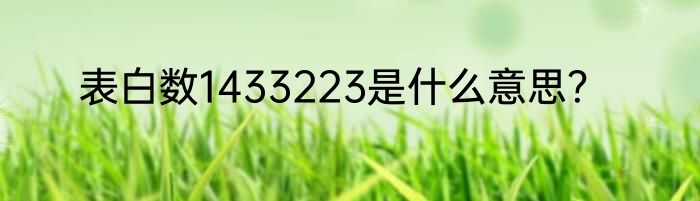 表白数1433223是什么意思？