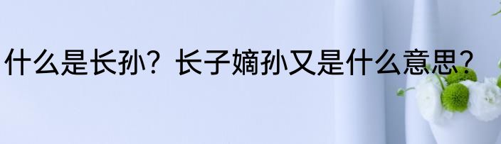 什么是长孙？长子嫡孙又是什么意思？