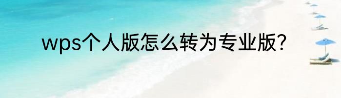 wps个人版怎么转为专业版？