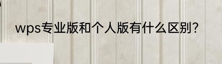 wps专业版和个人版有什么区别？