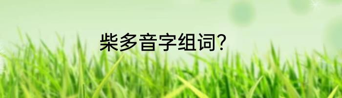 柴多音字组词？
