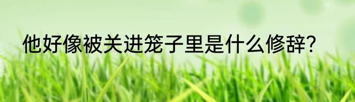 他好像被关进笼子里是什么修辞？