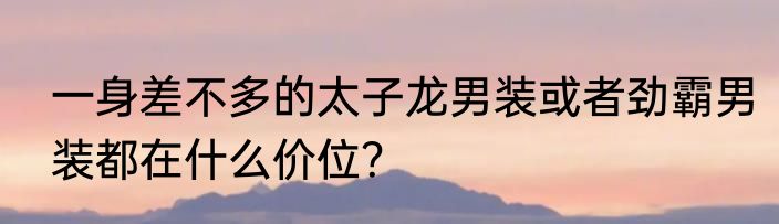 一身差不多的太子龙男装或者劲霸男装都在什么价位？