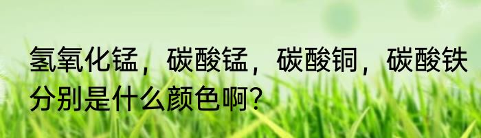 氢氧化锰，碳酸锰，碳酸铜，碳酸铁分别是什么颜色啊？