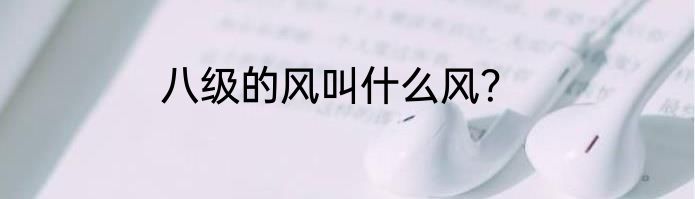 八级的风叫什么风？
