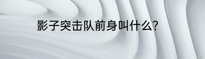 影子突击队前身叫什么？