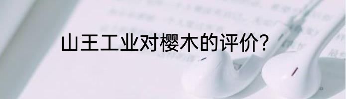 山王工业对樱木的评价？