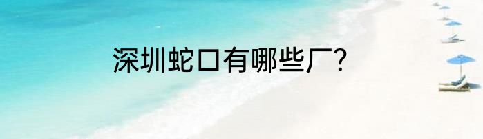深圳蛇口有哪些厂？