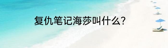 复仇笔记海莎叫什么？