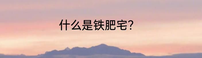 什么是铁肥宅？