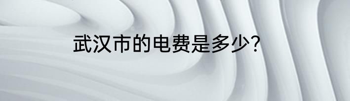 武汉市的电费是多少？