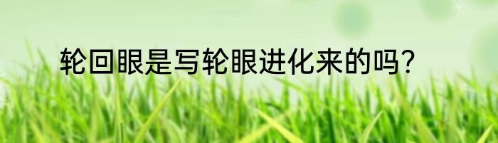 轮回眼是写轮眼进化来的吗？