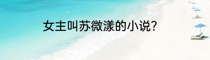 女主叫苏微漾的小说？