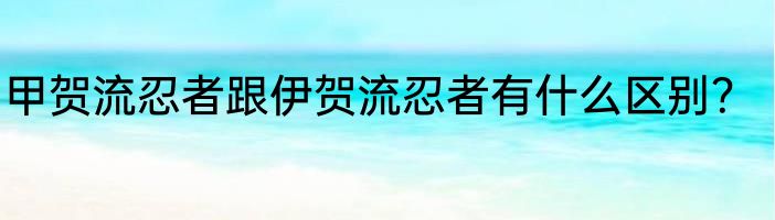 甲贺流忍者跟伊贺流忍者有什么区别？