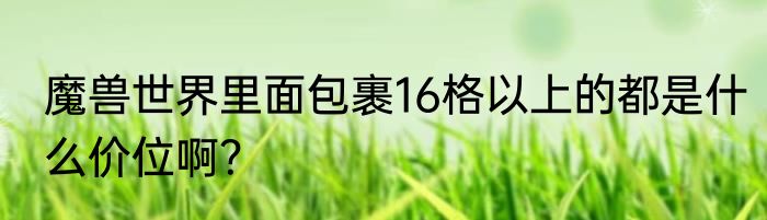 魔兽世界里面包裹16格以上的都是什么价位啊？