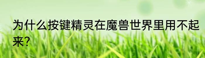 为什么按键精灵在魔兽世界里用不起来？