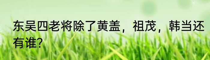 东吴四老将除了黄盖，祖茂，韩当还有谁？