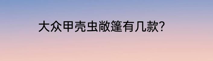 大众甲壳虫敞篷有几款？