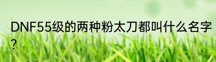 DNF55级的两种粉太刀都叫什么名字？