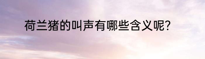 荷兰猪的叫声有哪些含义呢？