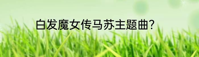 白发魔女传马苏主题曲？