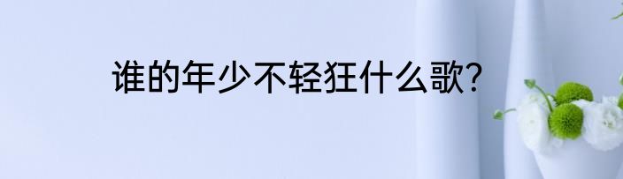 谁的年少不轻狂什么歌？