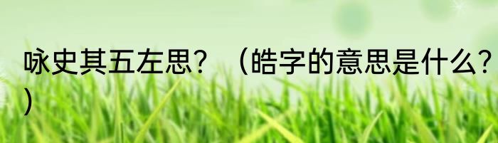咏史其五左思？（皓字的意思是什么？）