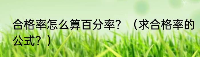 合格率怎么算百分率？（求合格率的公式？）