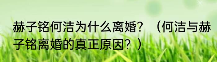 赫子铭何洁为什么离婚？（何洁与赫子铭离婚的真正原因？）