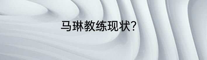 马琳教练现状？
