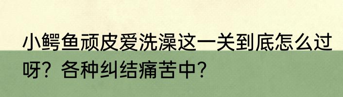 小鳄鱼顽皮爱洗澡这一关到底怎么过呀？各种纠结痛苦中？