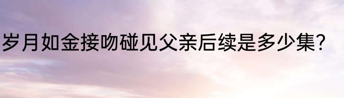 岁月如金接吻碰见父亲后续是多少集？