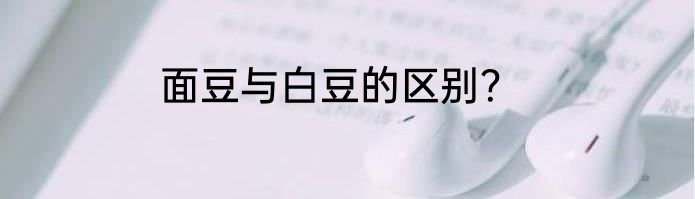 面豆与白豆的区别？