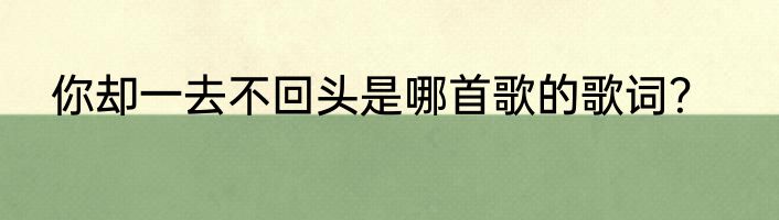 你却一去不回头是哪首歌的歌词？
