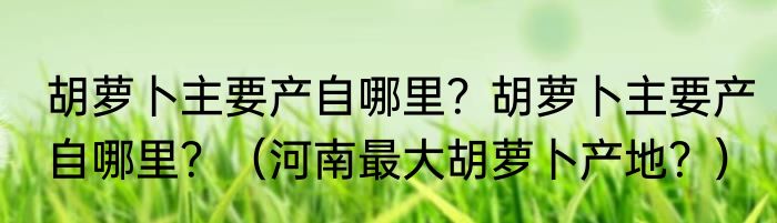 胡萝卜主要产自哪里？胡萝卜主要产自哪里？（河南最大胡萝卜产地？）
