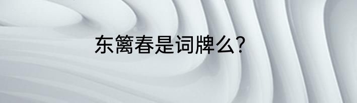 东篱春是词牌么？